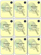 Reproduction & Development Trivia Board Game sample page
