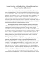 Sexual Selection and the Evolution of Sexual Dimorphism Reading Worksheet sample page
