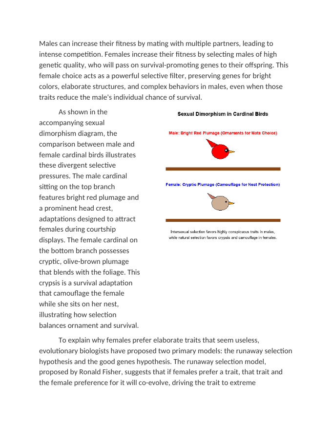 Sexual Selection and the Evolution of Sexual Dimorphism Reading Worksheet sample page