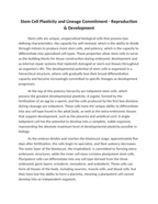 Stem Cell Plasticity and Lineage Commitment Reading Worksheet sample page