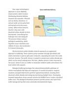 Technological Innovations in Ocean Acidification Buffering Reading Worksheet sample page