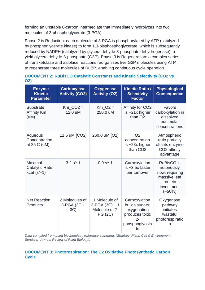 The Calvin-Benson Cycle and Photorespiration: RuBisCO Oxygenase Activity, C3 vs C4/CAM Carbon Fixation Adaptations CER Phenomena Worksheet sample page