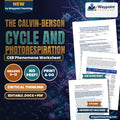 The Calvin-Benson Cycle and Photorespiration: RuBisCO Oxygenase Activity, C3 vs C4/CAM Carbon Fixation Adaptations CER Phenomena Worksheet cover