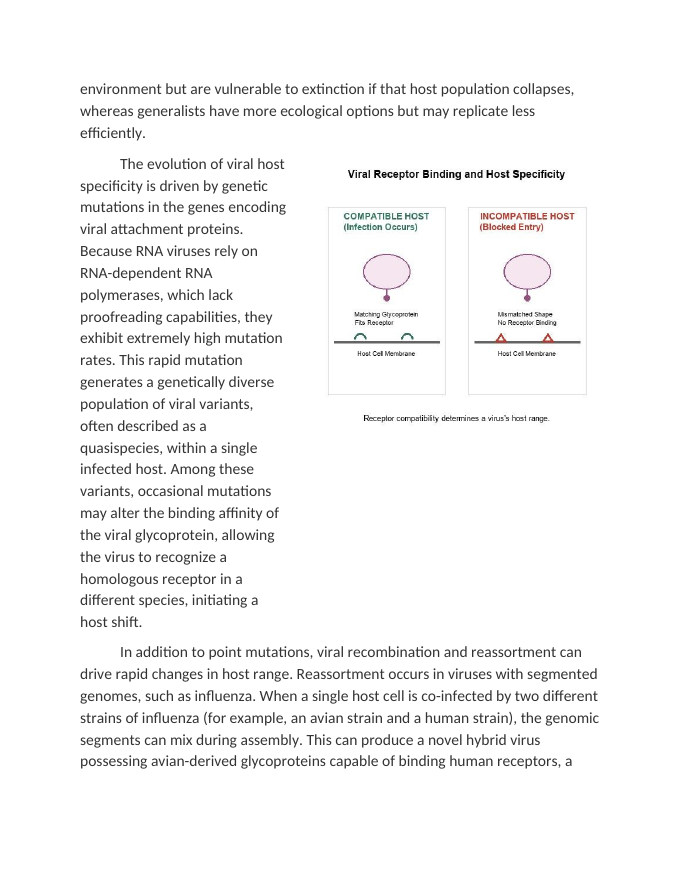 The Evolution of Viral Host Specificity Reading Worksheet sample page