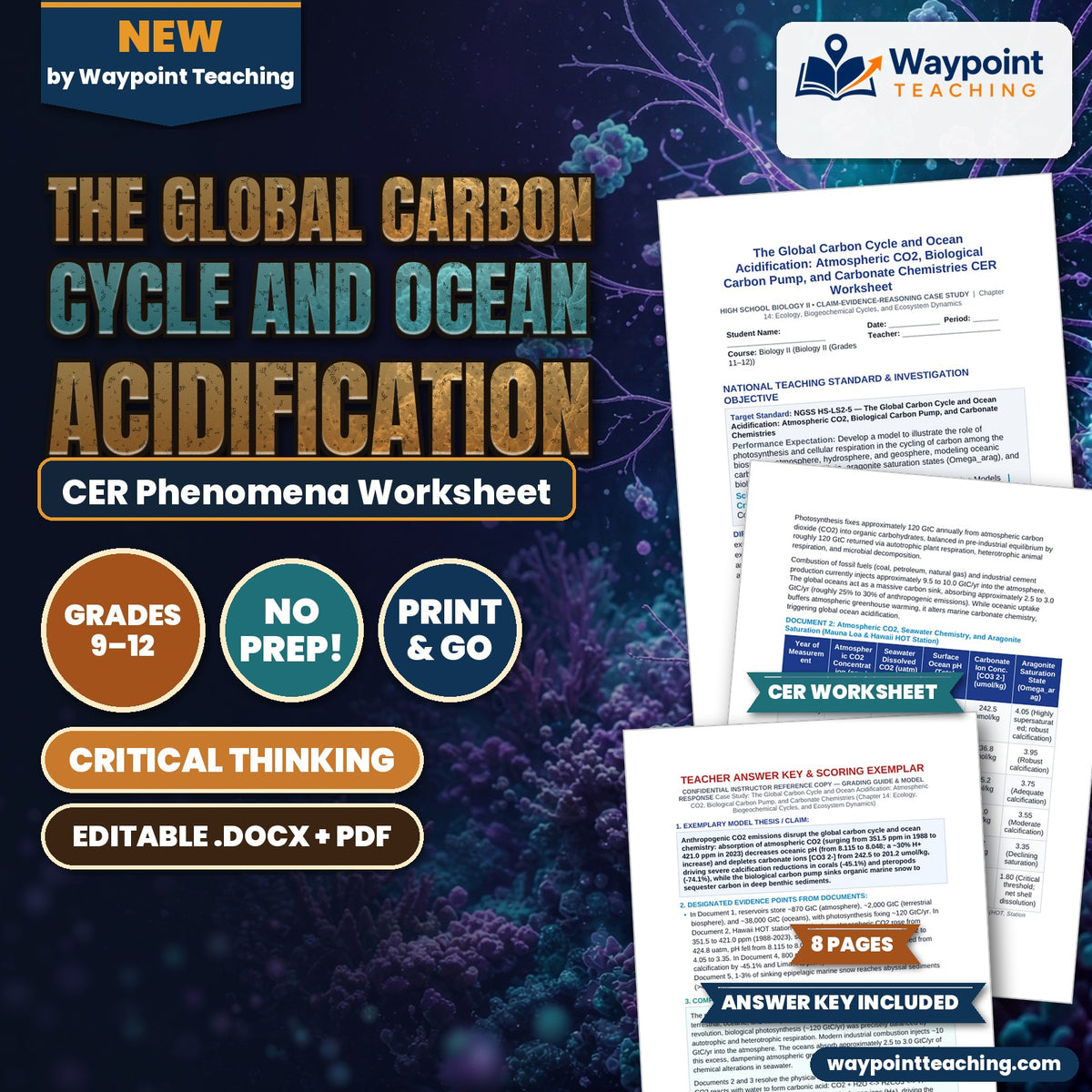 The Global Carbon Cycle and Ocean Acidification: Atmospheric CO2, Biological Carbon Pump, and Carbonate Chemistries CER Phenomena Worksheet cover