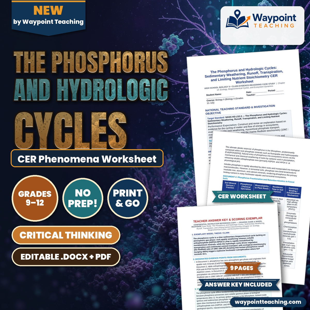 The Phosphorus and Hydrologic Cycles: Sedimentary Weathering, Runoff, Transpiration, and Limiting Nutrient Stoichiometry CER Phenomena Worksheet cover