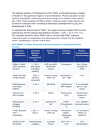 The Photochemical Light Reactions: Photosystem II/I Z-Scheme, Photolysis, and Chemiosmotic ATP Synthase Protons CER Phenomena Worksheet sample page
