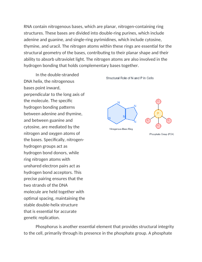 The Structural Role of Nitrogen and Phosphorus in Cells Reading Worksheet sample page