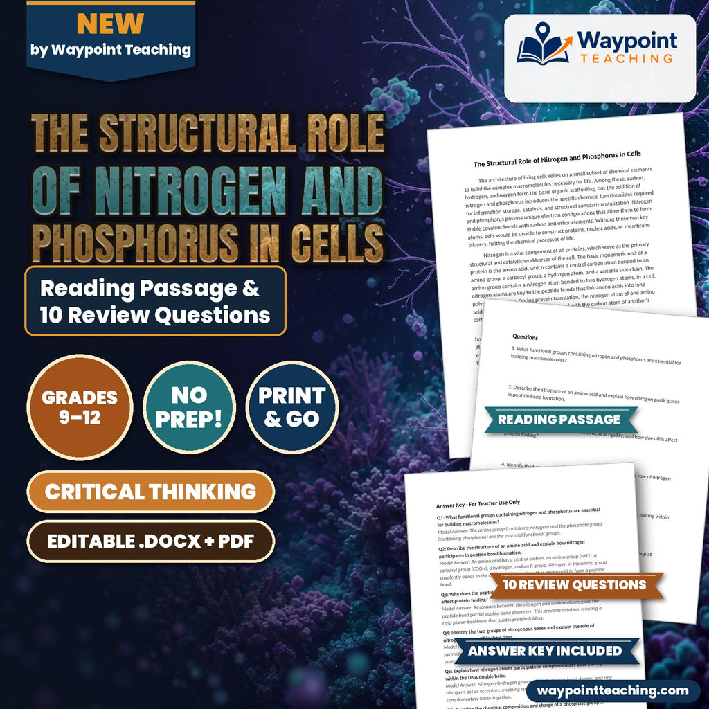 The Structural Role of Nitrogen and Phosphorus in Cells Reading Worksheet cover