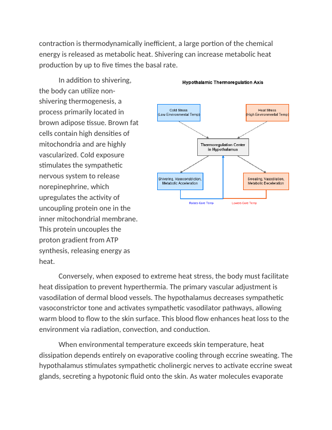 Thermoregulatory Adaptations in Extreme Environments Reading Worksheet sample page