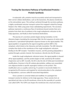 Tracing the Secretory Pathway of Synthesized Proteins Reading Worksheet sample page