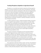 Tracking Phosphorus Depletion in Agricultural Runoff Reading Worksheet sample page
