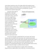 Tracking Phosphorus Depletion in Agricultural Runoff Reading Worksheet sample page