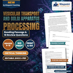 Vesicular Transport and Golgi Apparatus Processing Reading Worksheet cover