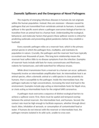 Zoonotic Spillovers and the Emergence of Novel Pathogens Reading Worksheet sample page