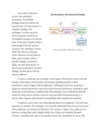 Zoonotic Spillovers and the Emergence of Novel Pathogens Reading Worksheet sample page