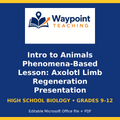 Intro to Animals Phenomena-Based Lesson: Axolotl Limb Regeneration Presentation cover