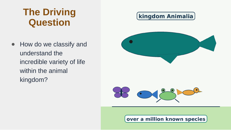 Intro to Animals Substitute Slideshow & Teacher Guide sample page