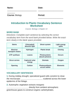 Intro to Plants Fill-in-the-Blank Vocabulary Worksheet sample page