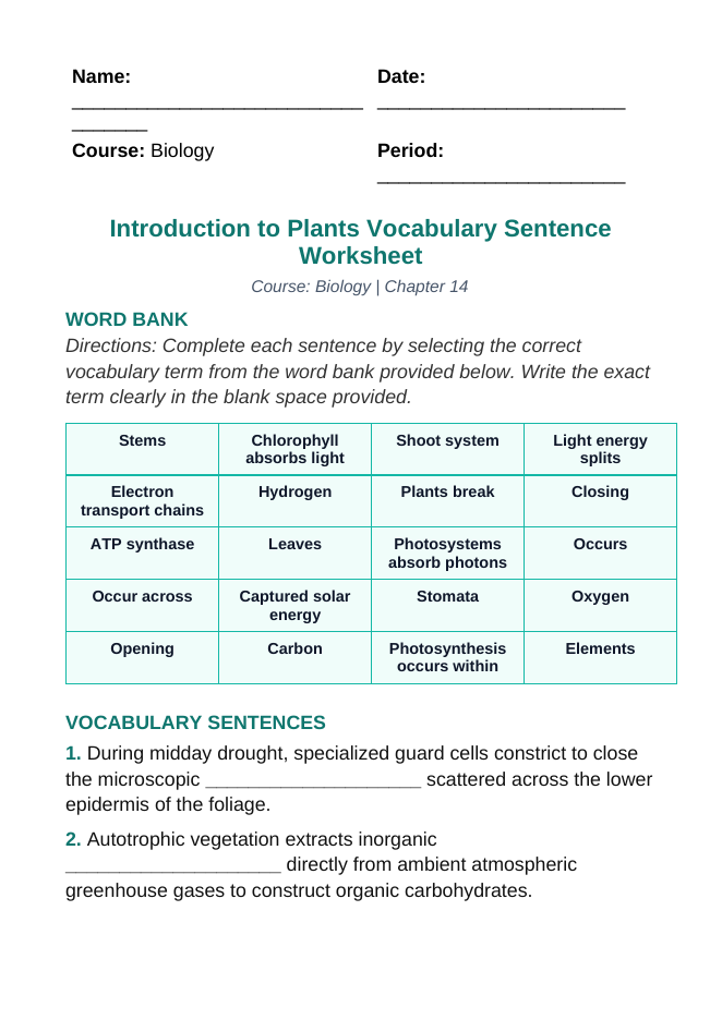Intro to Plants Fill-in-the-Blank Vocabulary Worksheet sample page
