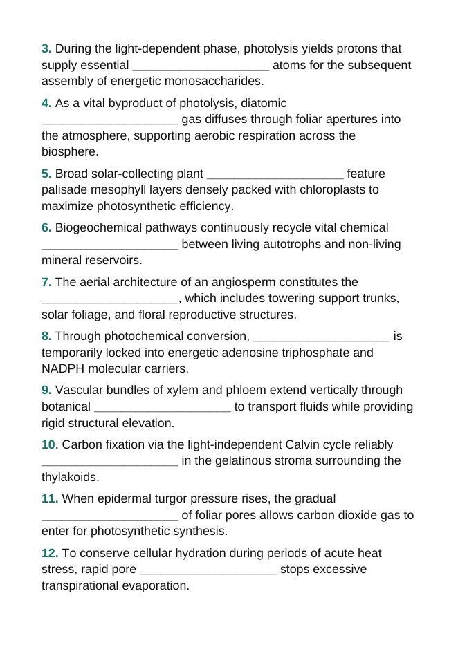 Intro to Plants Fill-in-the-Blank Vocabulary Worksheet sample page