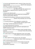 Intro to Plants Fill-in-the-Blank Vocabulary Worksheet sample page