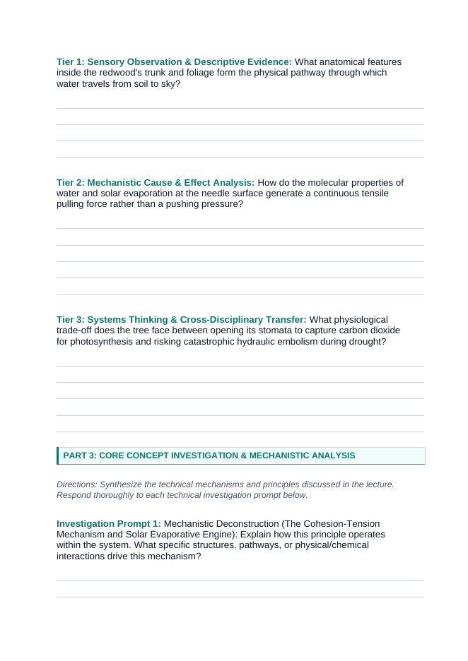 Intro to Plants Phenomena-Based Lesson: Giant Sequoia Cohesion Tension Student Response Sheet sample page