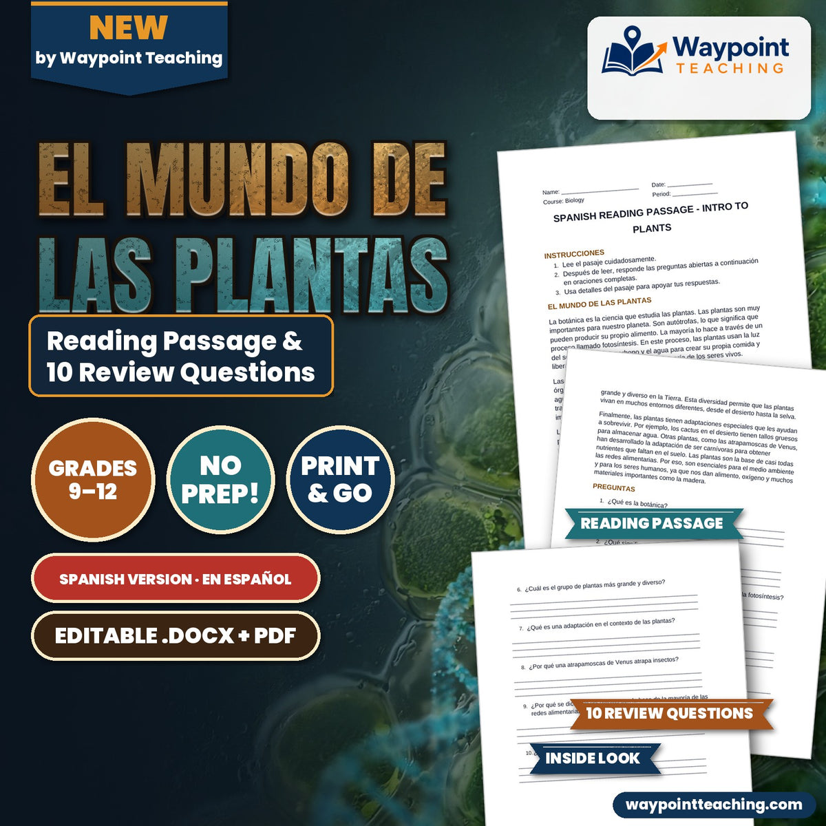 Intro to Plants Spanish Reading Passage & Comprehension Questions cover