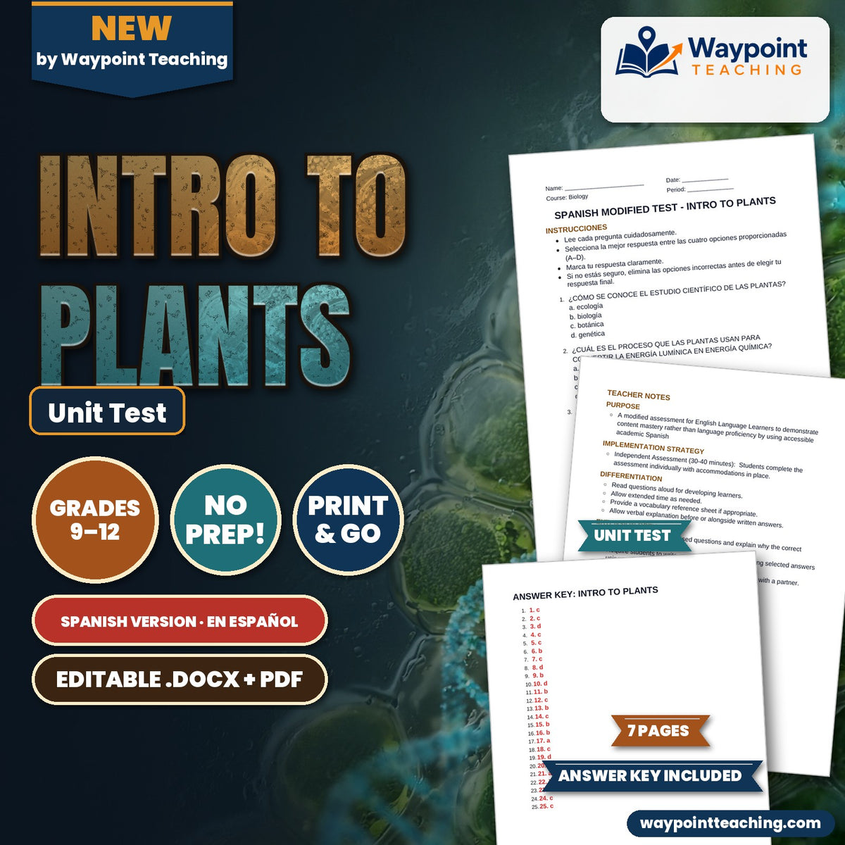 Intro to Plants Spanish Unit Test cover