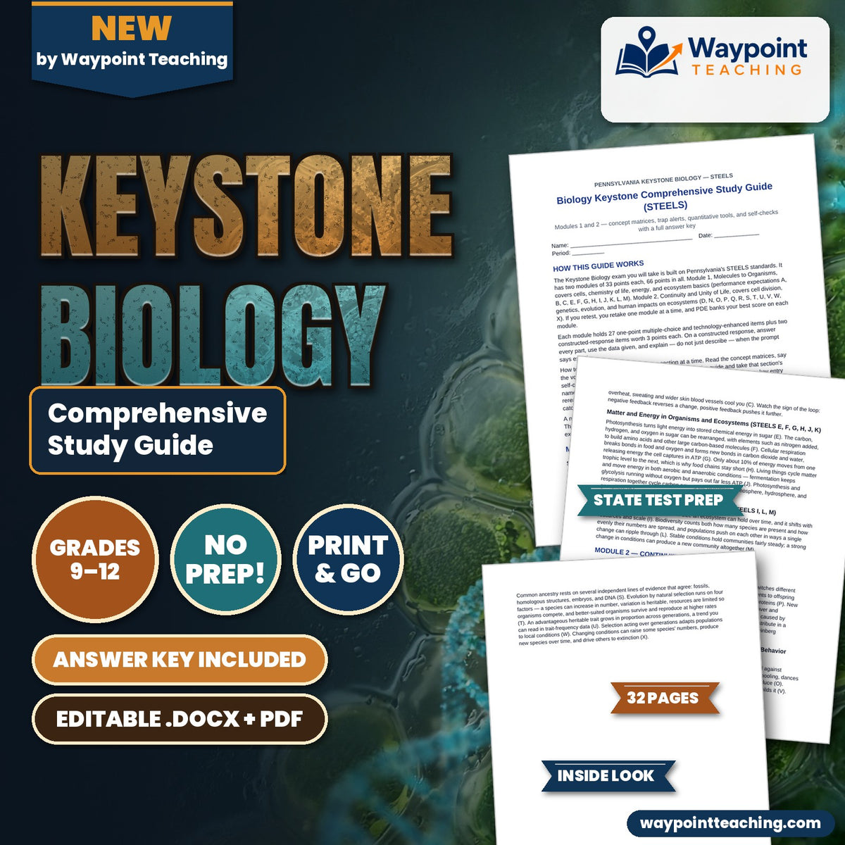 Keystone Biology Comprehensive Study Guide cover