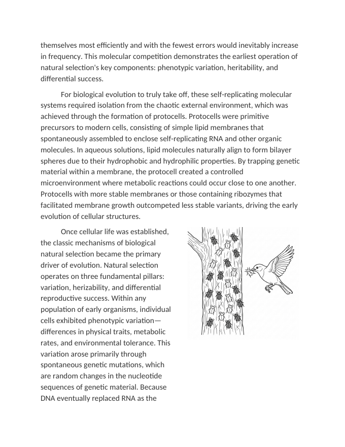 Mechanisms of Natural Selection Reading Worksheet sample page