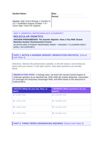 Molecular Genetics Scaffolded Phenomena-Based Lesson: HIV Reverse Transcription Student Response Sheet sample page