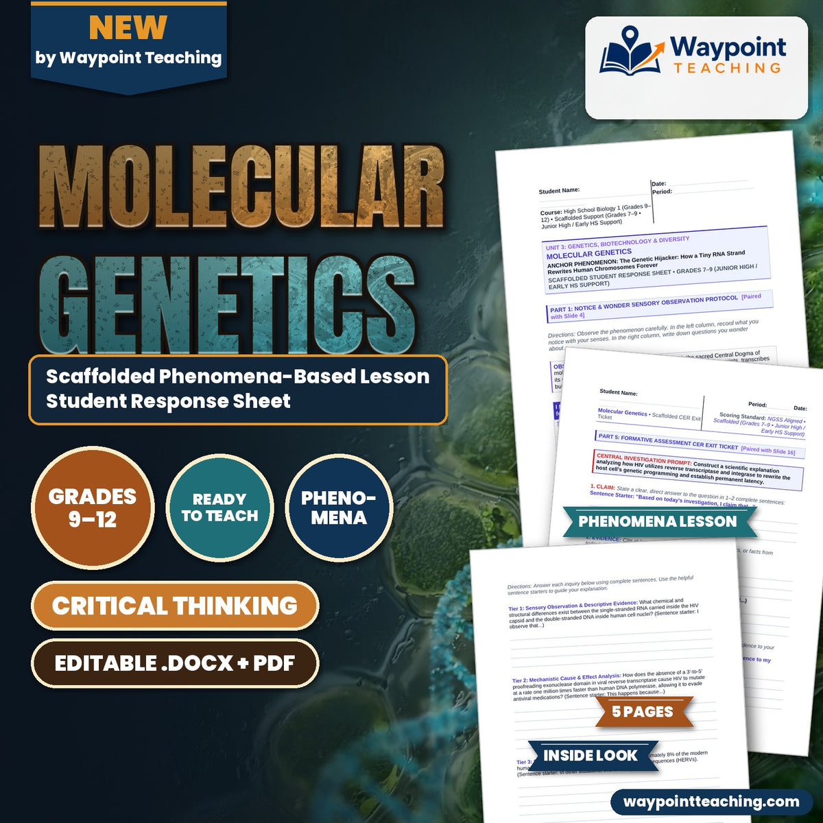 Molecular Genetics Scaffolded Phenomena-Based Lesson: HIV Reverse Transcription Student Response Sheet cover