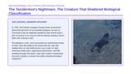 Organizing Life’s Diversity Phenomena-Based Lesson: Platypus Mosaic Classification Presentation sample page