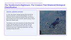 Organizing Life’s Diversity Scaffolded Phenomena-Based Lesson: Platypus Mosaic Classification Presentation sample page