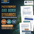 Phototropism and Auxin Dynamics: The Cholodny-Went Model and Acid Growth Hypothesis CER Phenomena Worksheet cover