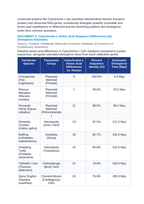 Phylogenetic Classification: Cladistics and Molecular Homology in Vertebrates CER Phenomena Worksheet sample page