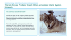 Population Ecology Phenomena-Based Lesson: Isle Royale Wolf Moose Crash Presentation sample page