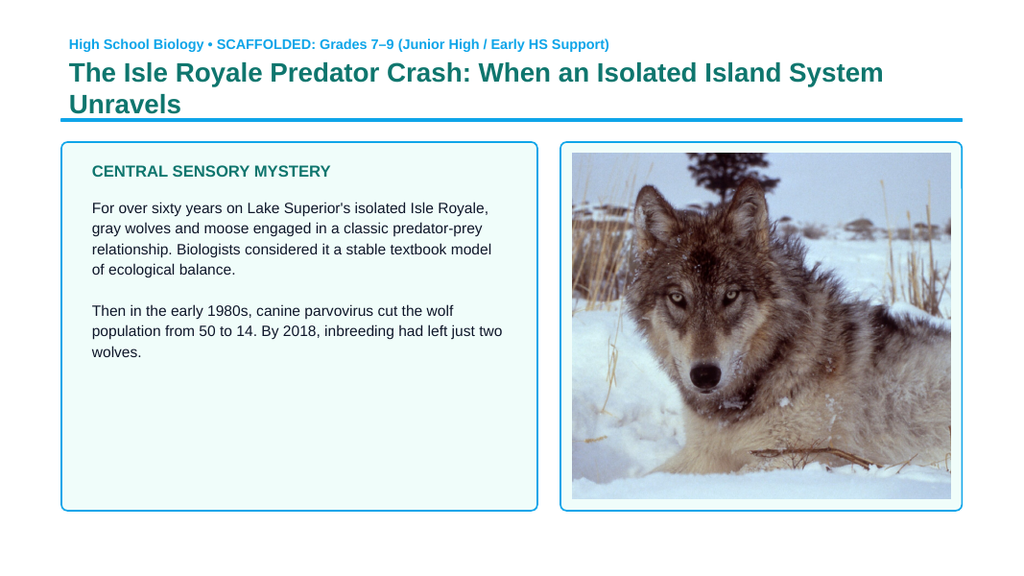Population Ecology Scaffolded Phenomena-Based Lesson: Isle Royale Wolf Moose Crash Presentation sample page