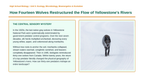 Principles of Ecology Phenomena-Based Lesson: Yellowstone Wolf Trophic Cascade Presentation sample page