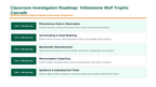 Principles of Ecology Phenomena-Based Lesson: Yellowstone Wolf Trophic Cascade Presentation sample page