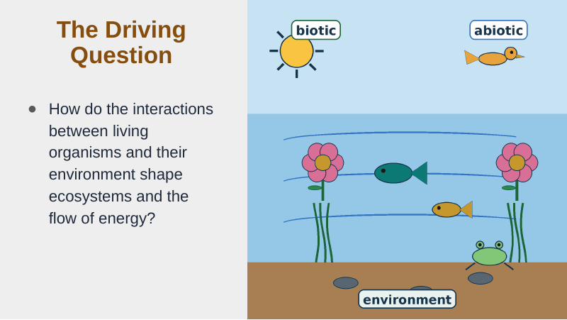 Principles of Ecology Substitute Slideshow & Teacher Guide sample page