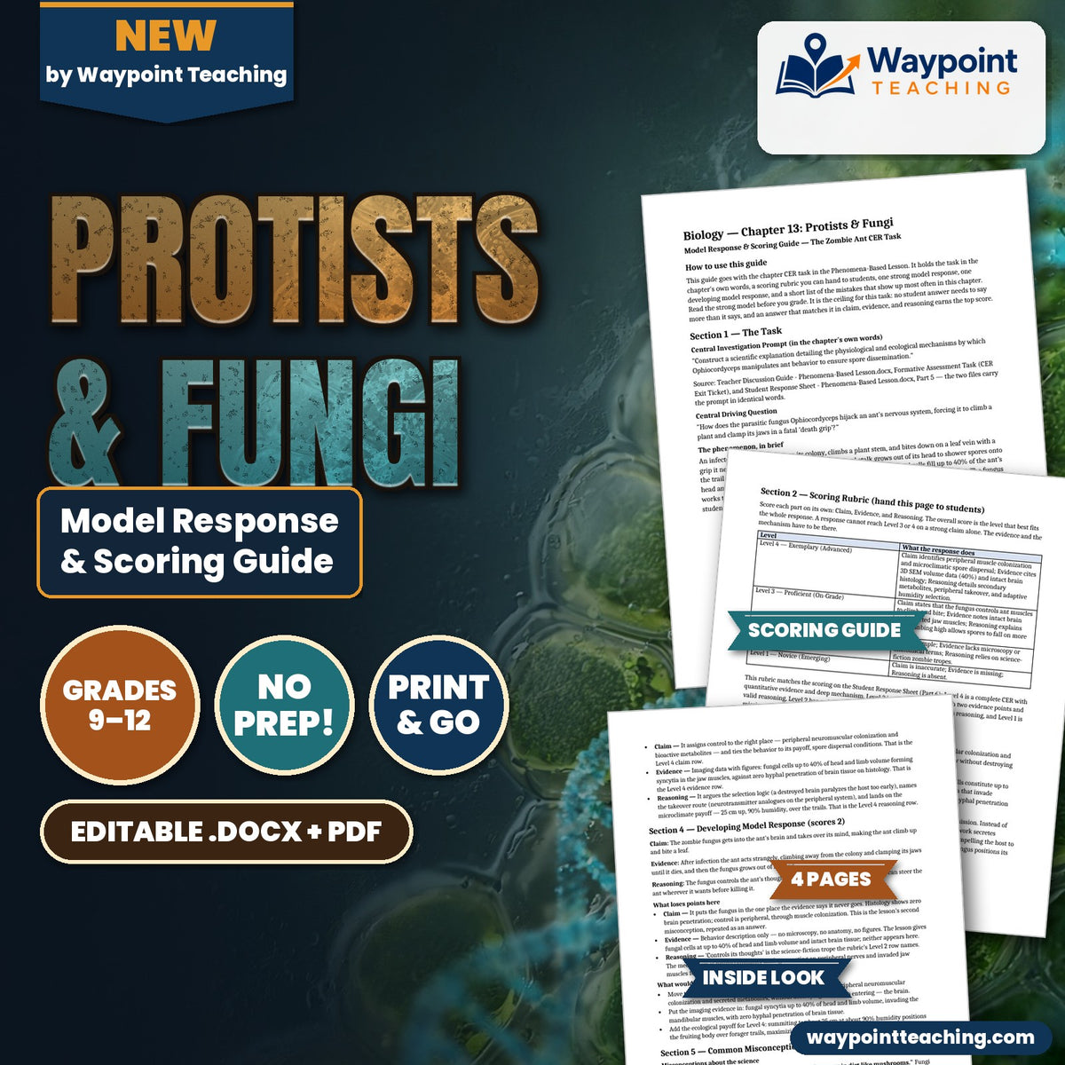 Protists & Fungi Model Response & Scoring Guide cover