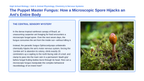 Protists & Fungi Phenomena-Based Lesson: Zombie Ant Cordyceps Parasitism Presentation sample page