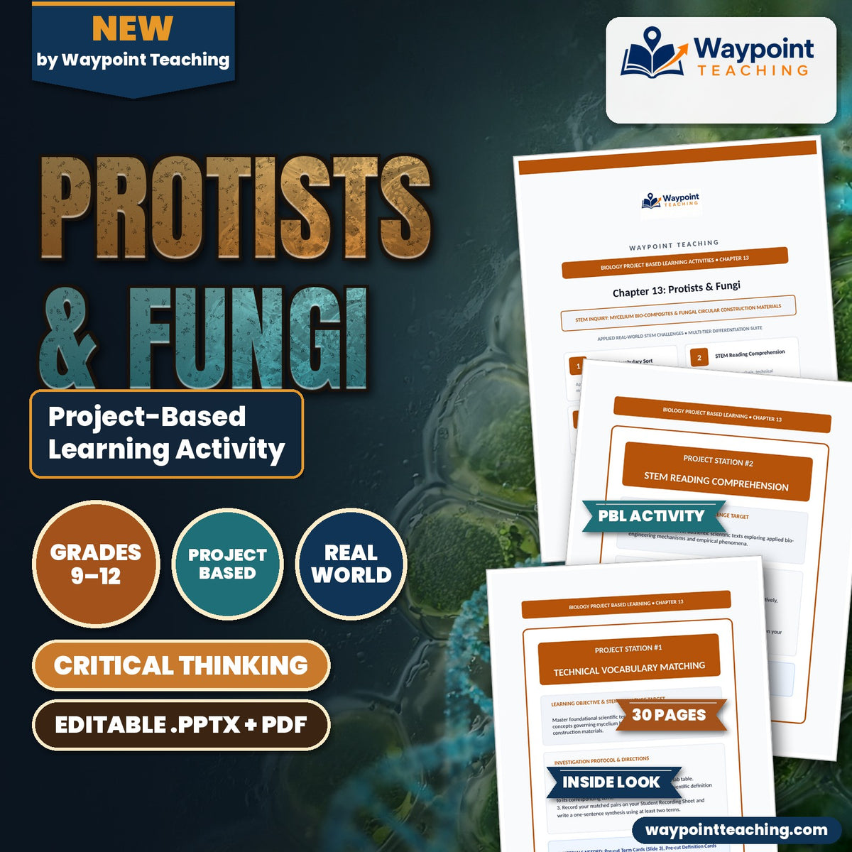 Protists & Fungi Project-Based Learning Activity cover