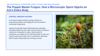 Protists & Fungi Scaffolded Phenomena-Based Lesson: Zombie Ant Cordyceps Parasitism Presentation sample page