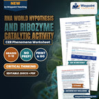 RNA World Hypothesis and Ribozyme Catalytic Activity CER Phenomena Worksheet cover