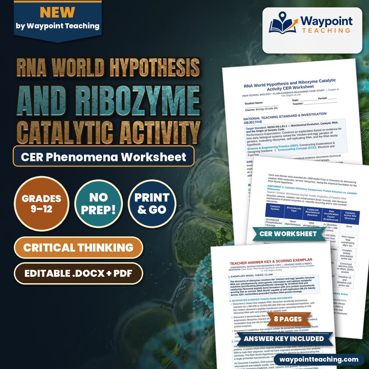 RNA World Hypothesis and Ribozyme Catalytic Activity CER Phenomena Worksheet cover