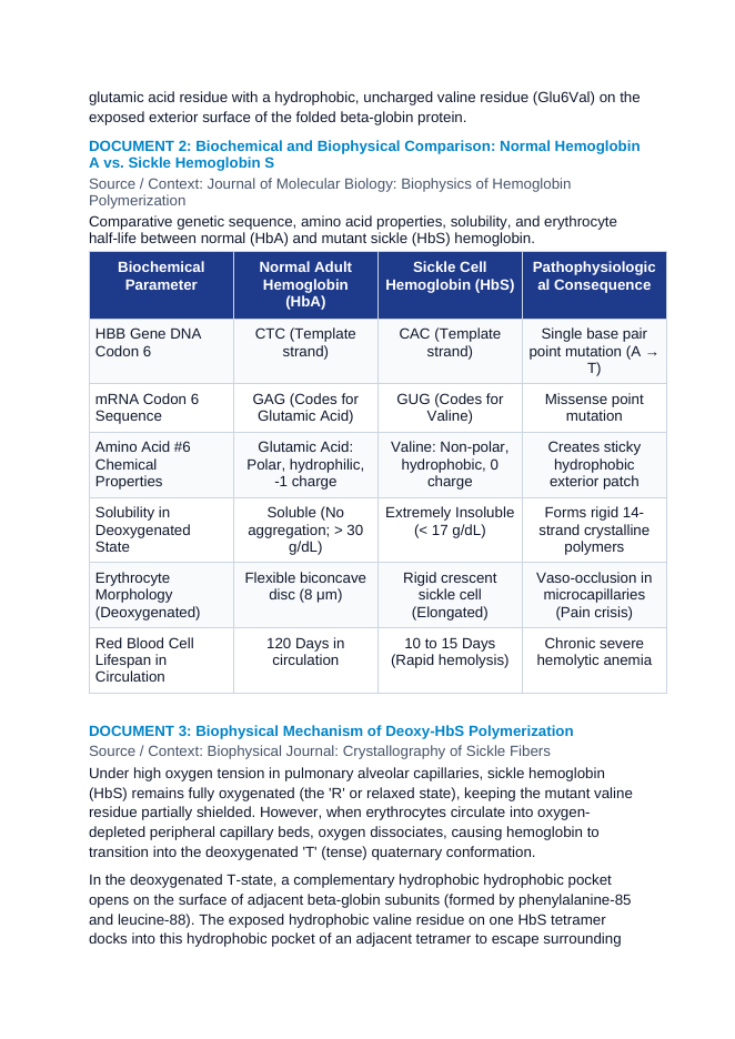 Sickle Cell Hemoglobin Point Mutation and Protein Misfolding CER Phenomena Worksheet sample page