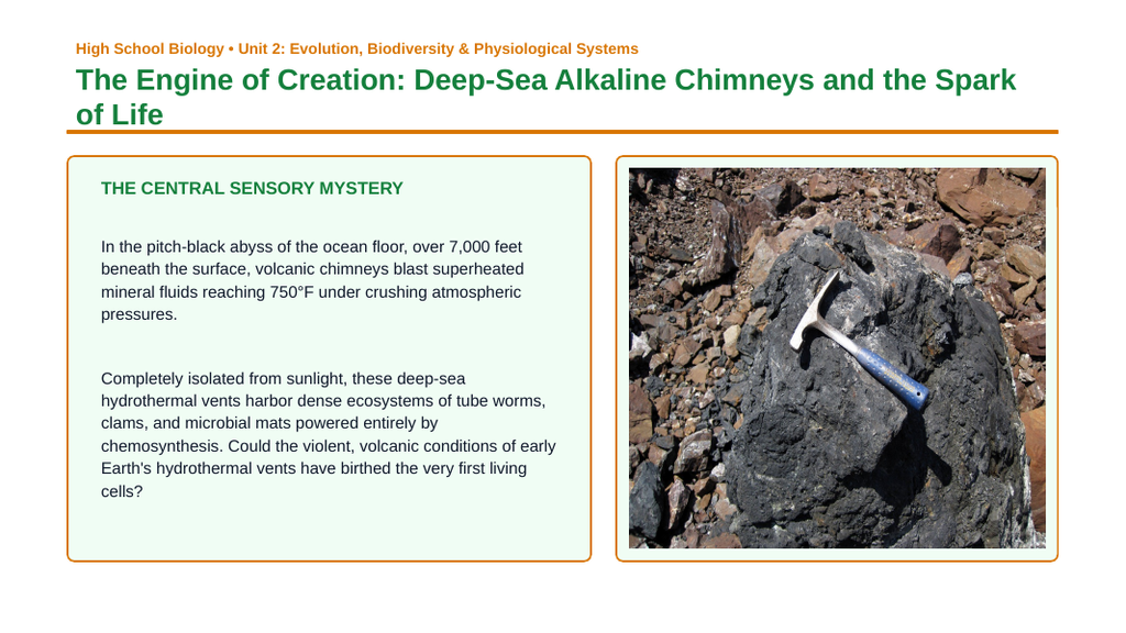 The Origins of Life Phenomena-Based Lesson: Hydrothermal Vent Abiogenesis Presentation sample page
